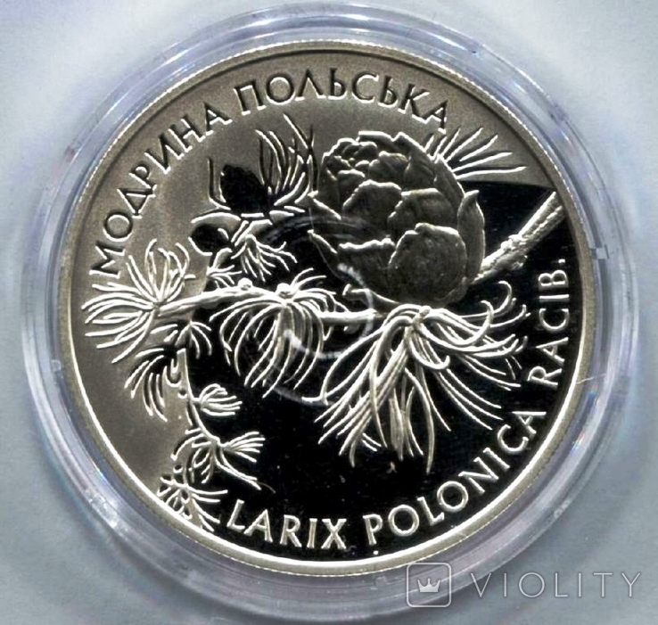 Лиственница польская. 10 гривен 2001 г. 