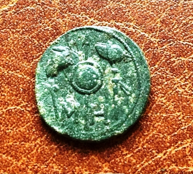 Боспорское царство. Реметалк. Сестерций