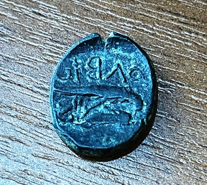 Ольвия. Дихалк с ретроградным написанием этникона