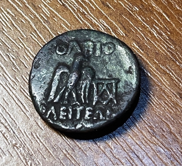 Ольвия. Ассарий