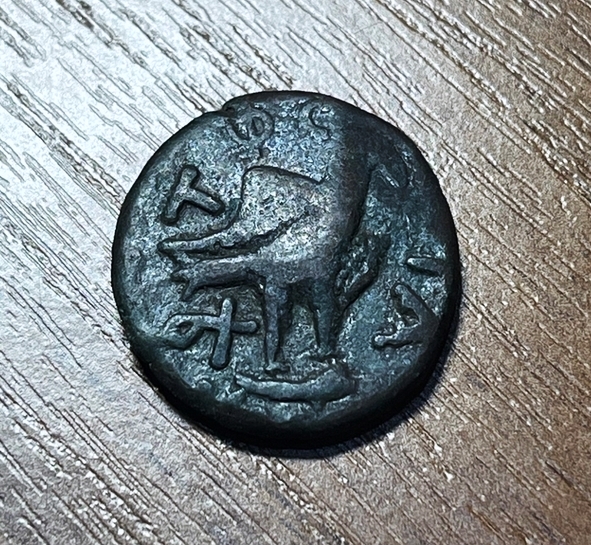 Ольвия. Архонт Т. Флавий Со…Дупондий