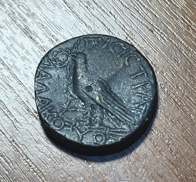 Ольвия. Архонт Писистрат. Тетрассарий (сестерций)