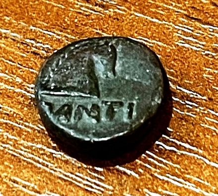 Пантикапей. Лепта. Медь. 389 – 379 гг. до н.э.