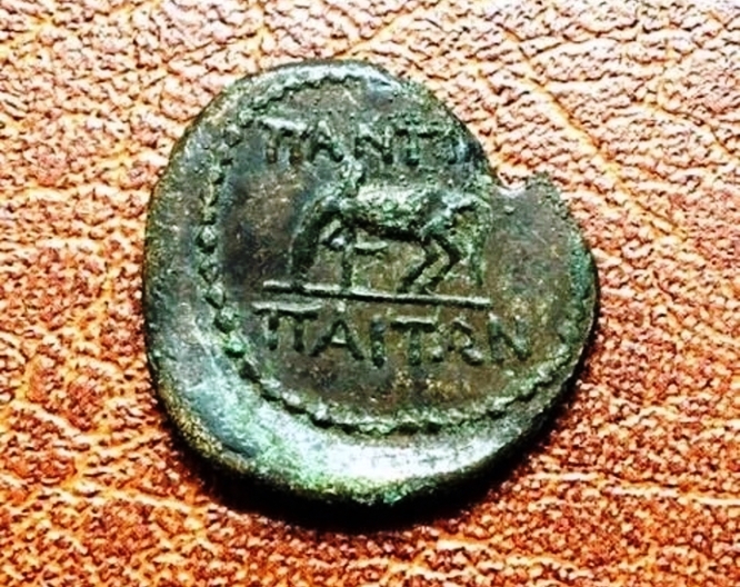 Пантикапей. Тетрахалк. Медь. 37 – 27 гг. до н.э.    ПРОДАН