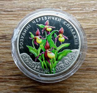 Украина. Кукушкины башмачки настоящие.    ПРОДАНА