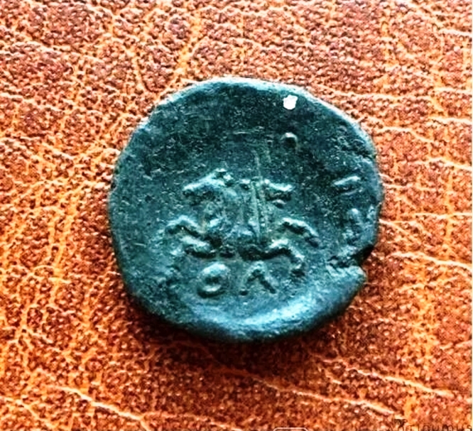 Ольвия.Тетрахалк. Медь. 210 – 200 гг. до н.э.    ПРОДАН