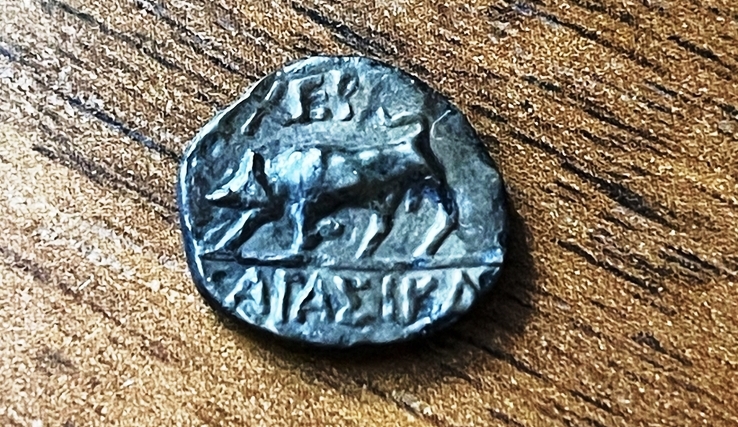 Херсонес. Медные монеты разных номиналов. III – II вв. до н.э.