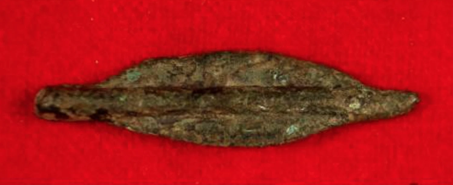 Борисфенида. Монета-стрелка. VII-VI вв. до н.э.    ПРОДАНА