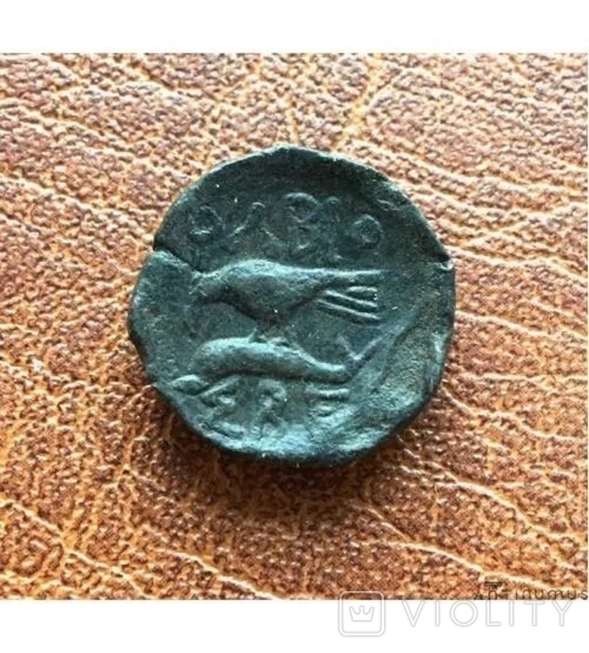 Ольвия.Тетрахалк. Медь. 180-170 гг. до н.э.