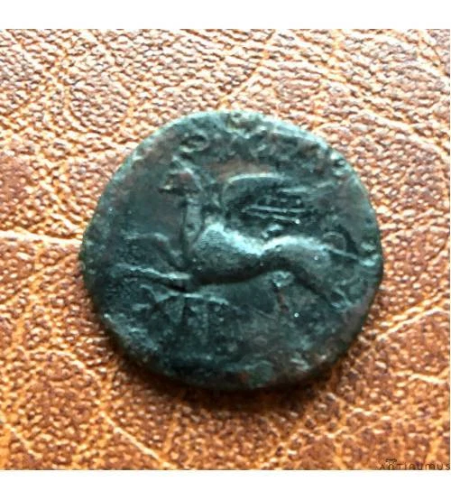 Херсонес. Дихалк. 320-310 гг. до н.э.