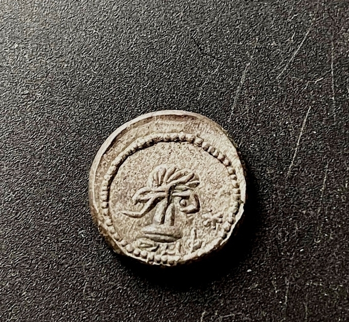 Боспорское царство. Рескупорид IV. Статер 252 г.