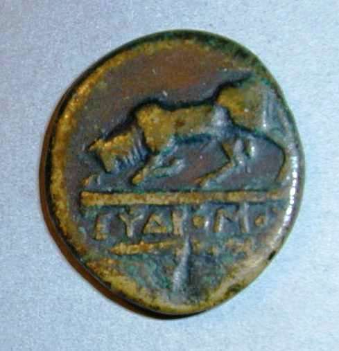 Херсонес. Дихалк. Медь. 300–290 гг. до н.э.