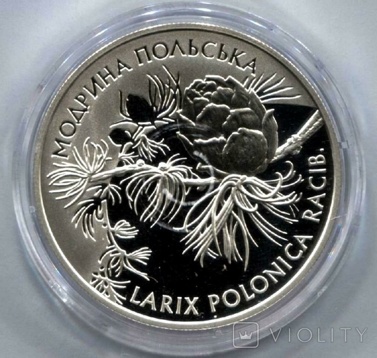 Лиственница польская. 10 гривен 2001 г. Серебро