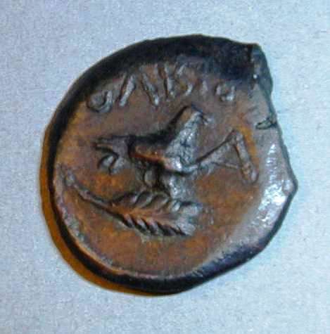 Ольвия. Дихалк. Медь. 380 – 360 гг. до н.э.    ПРОДАНА