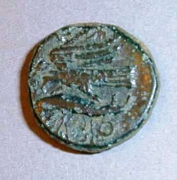 Ольвия. 1/4 обола. Медь. 330 – 300 гг. до н.э.